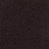 Dewey Upholstered Counter Chair Walnut (Set of 2) | Brown | Walnut | 115209