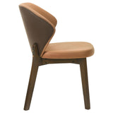 Randolph Dining Side Chair Butterscotch and Brown (Set of 2) | Brown | Butterscotch / Red Brown | 192522