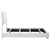 Felicity Wood Twin LED Panel Bed White High Gloss | White | White High Gloss | 203500T