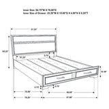 Miranda 51-inch Wood Full Storage Panel Bed White | White | 205111F
