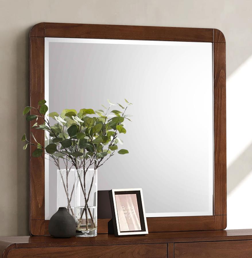Robyn Dresser Mirror Dark Walnut | Full | Brown | Dark Walnut | 205134