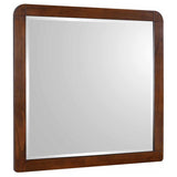 Robyn Dresser Mirror Dark Walnut | Full | Brown | Dark Walnut | 205134