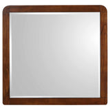 Robyn Dresser Mirror Dark Walnut | Full | Brown | Dark Walnut | 205134