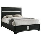 Miranda 54-inch Upholstered Queen Panel Bed Black | Black | 206360Q