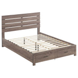 Brantford Wood Queen Storage Panel Bed Barrel Oak | Queen | Brown | Barrel Oak | 207040Q