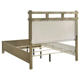 Hazlewood 61-inch Queen Panel Bed Vineyard Oak | Queen | Brown | Vineyard Oak | 207531Q