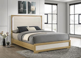 Hyland Wood Queen LED Panel Bed Natural and White | Queen | Beige | Natural | 215651Q