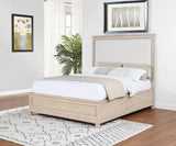 Pembroke 66-inch Queen Panel Bed Washed Oak | Queen | Ivory | Washed Oak | 215921Q