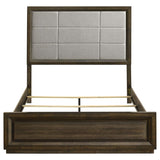 Atlas 64-inch Queen Upholstered Panel Bed Grey and Dark Oak | Queen | Brown | Dark Oak | 215971Q