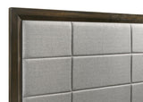 Atlas 64-inch Queen Upholstered Panel Bed Grey and Dark Oak | Queen | Brown | Dark Oak | 215971Q