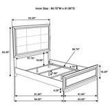 Atlas 64-inch Queen Upholstered Panel Bed Grey and Dark Oak | Queen | Brown | Dark Oak | 215971Q
