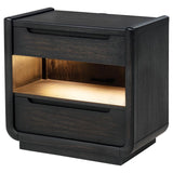 Leandro 2-drawer LED Nightstand with USB Burnished Black | Black | Burnished Black | 222492