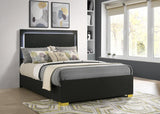 Marceline Wood Full LED Panel Bed Black | Black | 222831F