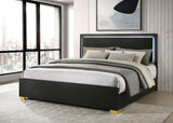 Marceline Wood Eastern King LED Panel Bed Black | Black | 222831KE