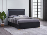 Marceline Wood Queen LED Panel Bed Black | Black | 222831Q