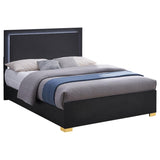 Marceline Wood Queen LED Panel Bed Black | Black | 222831Q