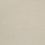 Bennett 63-inch Queen Upholstered Panel Bed Cream and Light Oak | Queen | Beige | Light Oak | 222901Q