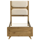Untitled | Brown | Light Oak / Cream | 222901T