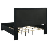 Ravenne Velvet Upholstered Eastern King LED Panel Bed Black | Black | 223191KE