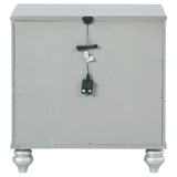 Gunnison 2-drawer Nightstand Silver Metallic | Silver | Silver Metallic | 223212