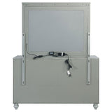 Gunnison 6-drawer Dresser with Mirror Silver Metallic | King | Silver | Silver Metallic | 223213M