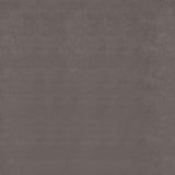 Durango 77-inch Queen Panel Bed Smoked Peppercorn | Queen | Grey | Smoked Peppercorn | 223261Q