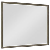 Durango Dresser Mirror Taupe Oak | Beige | Taupe Oak | 223274