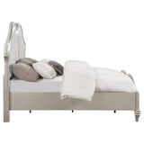 Evangeline Wood California King LED Panel Bed Silver Oak | Silver | Silver Oak | 223391KW