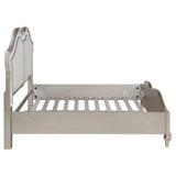 Evangeline Wood Queen LED Panel Bed Silver Oak | King | Silver | Silver Oak | 223391Q