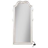 Evangeline Full Length LED Light Floor Mirror Silver Oak | Full | Grey | Silver Oak | 223400