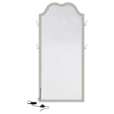 Evangeline Full Length LED Light Floor Mirror Silver Oak | Full | Grey | Silver Oak | 223400