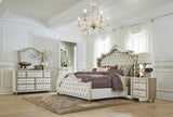 Antonella Upholstered Queen Panel Bed Ivory and Camel | Queen | Ivory | Ivory / Camel | 223521Q