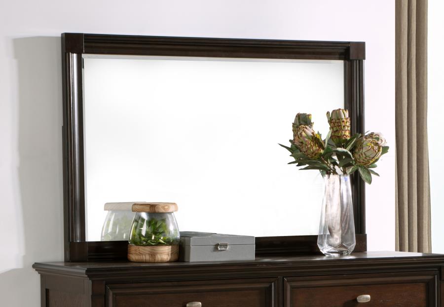 Andover Dresser Mirror Dark Oak | Brown | Dark Oak | 223634
