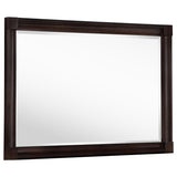 Andover Dresser Mirror Dark Oak | Brown | Dark Oak | 223634