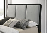 Arini Upholstered Queen Panel Bed Black and Grey | Queen | Black | Black / Grey | 224331Q