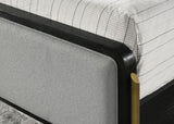Arini Upholstered Queen Panel Bed Black and Grey | Queen | Black | Black / Grey | 224331Q
