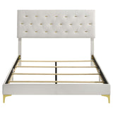 Kendall Upholstered Queen Panel Bed White | Queen | White | 224401Q