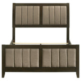 Wilkes 51-inch Upholstered Full Bed Dark Cocoa | Brown | Dark Cocoa | 224421F