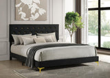 Kendall Upholstered Eastern King Panel Bed Black | Black | 224451KE