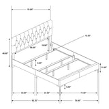 Kendall Upholstered California King Panel Bed Black | Black | 224451KW