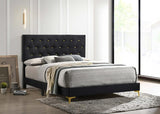 Kendall Upholstered Queen Panel Bed Black | King | Black | 224451Q