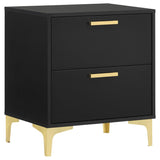 Kendall 2-drawer Nightstand Black | Black | 224452