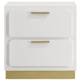 Caraway 2-drawer Nightstand White | King | White | 224772