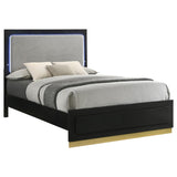 Caraway Wood Queen LED Panel Bed Black | Queen | Black | 224781Q