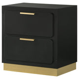 Caraway 2-drawer Nightstand Black | King | Black | 224782