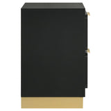 Caraway 2-drawer Nightstand Black | King | Black | 224782