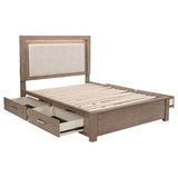 Kenora 56-inch Queen LED Storage Bed Barley Brown | Queen | Brown | Barley Brown | 224850Q