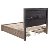 Kenora 56-inch Queen LED Storage Bed Barley Brown | Queen | Brown | Barley Brown | 224850Q