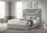 Ives Queen Panel Bed LED Headboard Grey High Gloss | Queen | Grey | Grey High Gloss | 224971Q