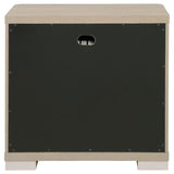 Ladera 2-drawer Nightstand Bedside Table Light Elm | King | Beige | Light Elm | 225082
